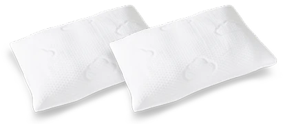 2 Signature Memory Foam Pillows